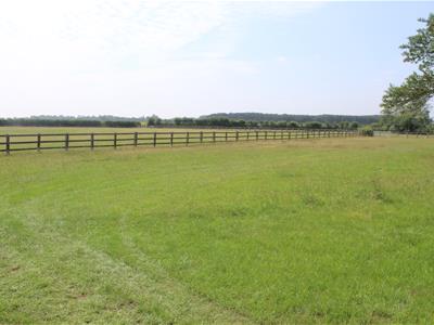 Picture 27
